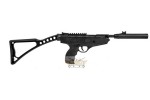 Swiss Arms Carbine/Pistol Mod M Fire